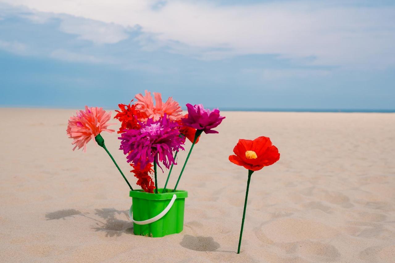 Bartine - Modern And Spacious Flat Near The Sea, Free Parking Space Oostende Ngoại thất bức ảnh